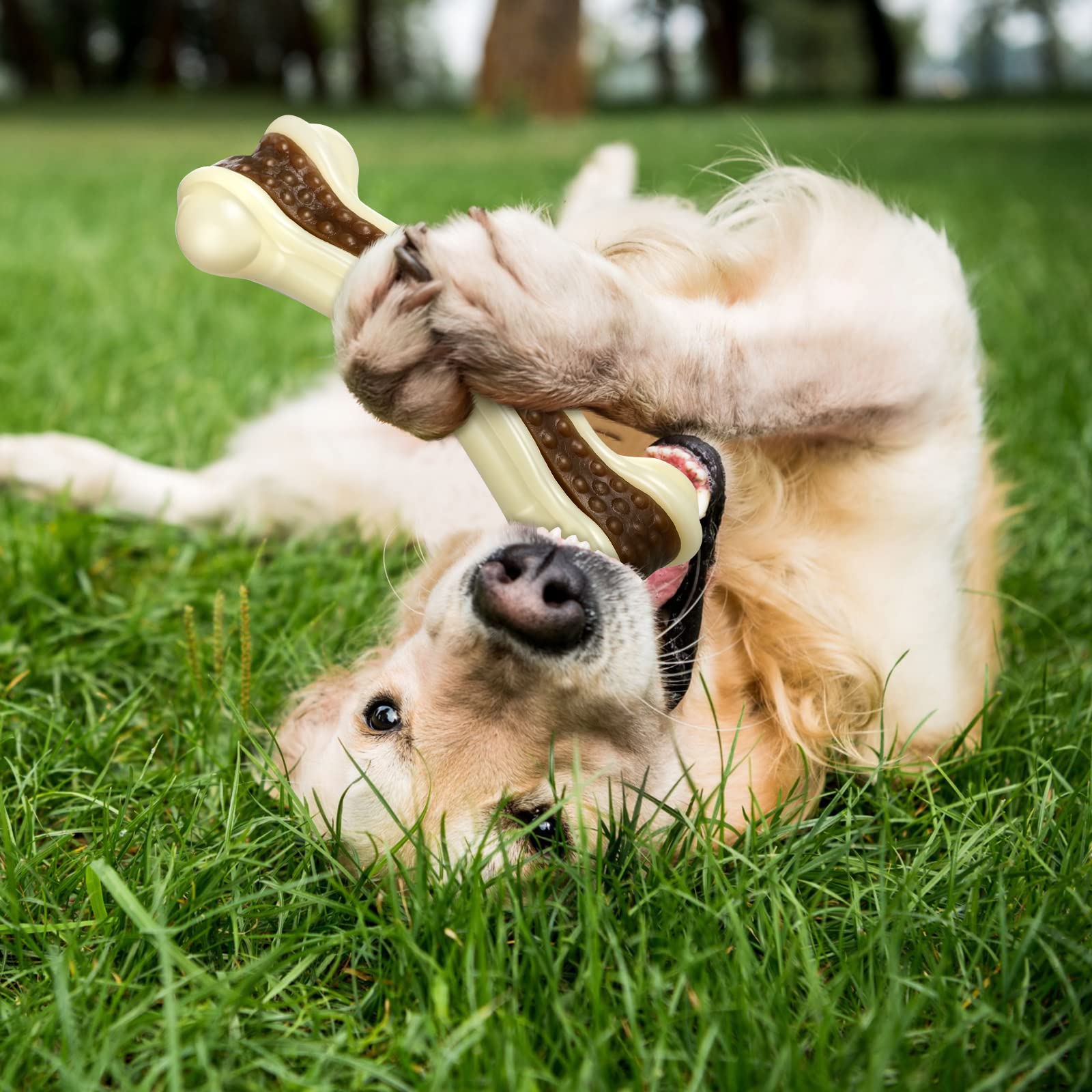 Sosation dog with toy demonstrates interactive bonding potential through focused chewing sessions.