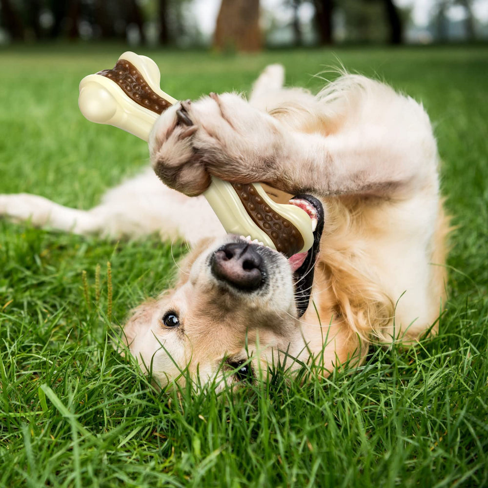 Sosation dog with toy demonstrates interactive bonding potential through focused chewing sessions.