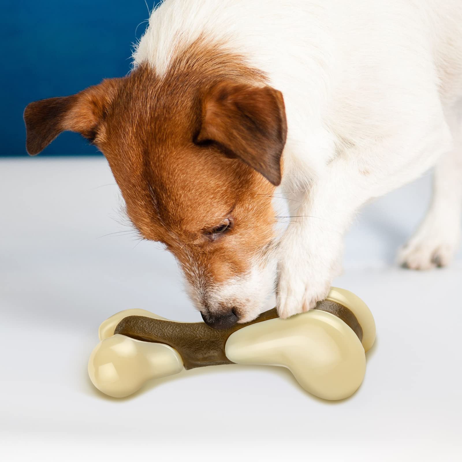 Sosation durable nylon chew closeup shows quality material for powerful chewers.