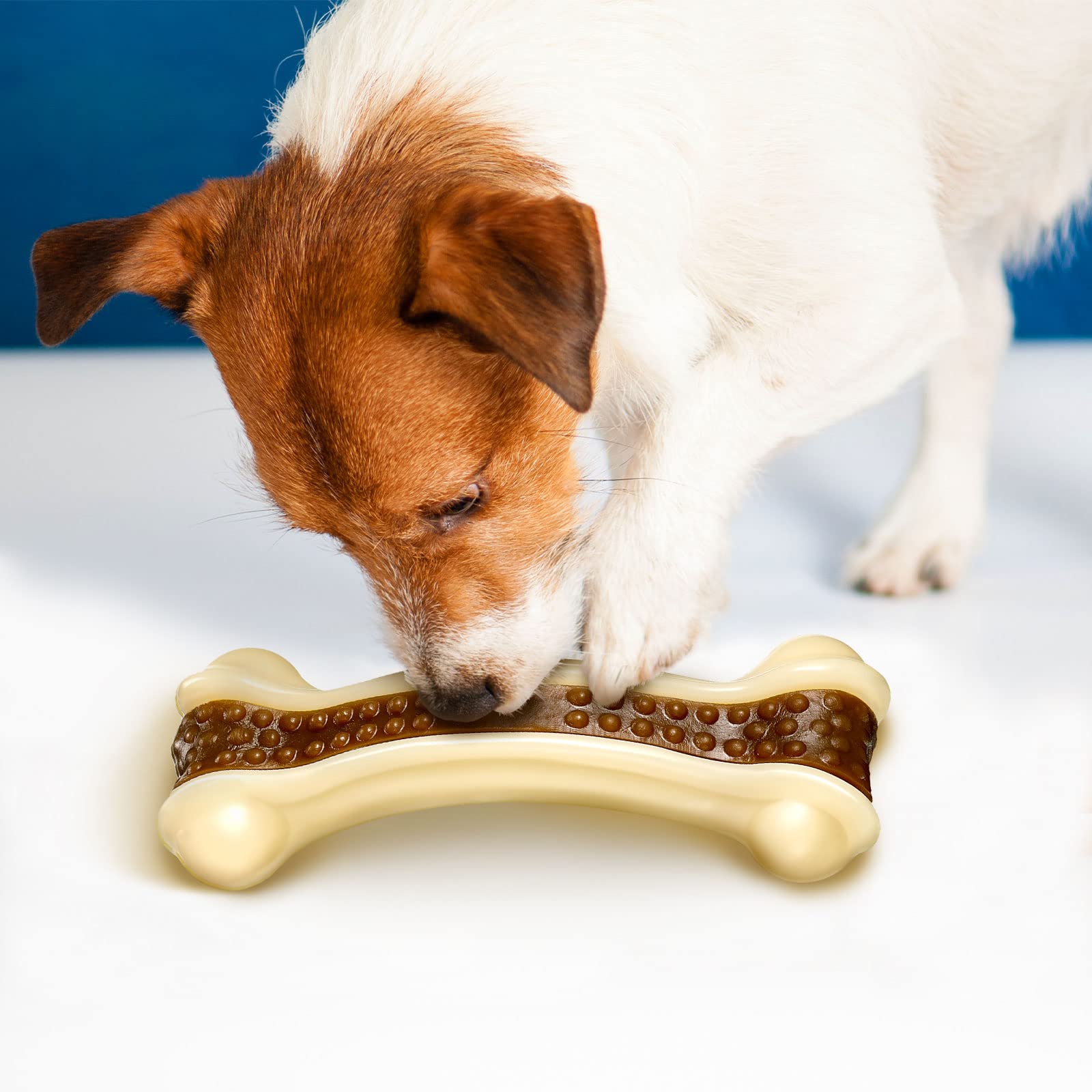 Sosation durable nylon dog toy for large, medium, and small breeds.