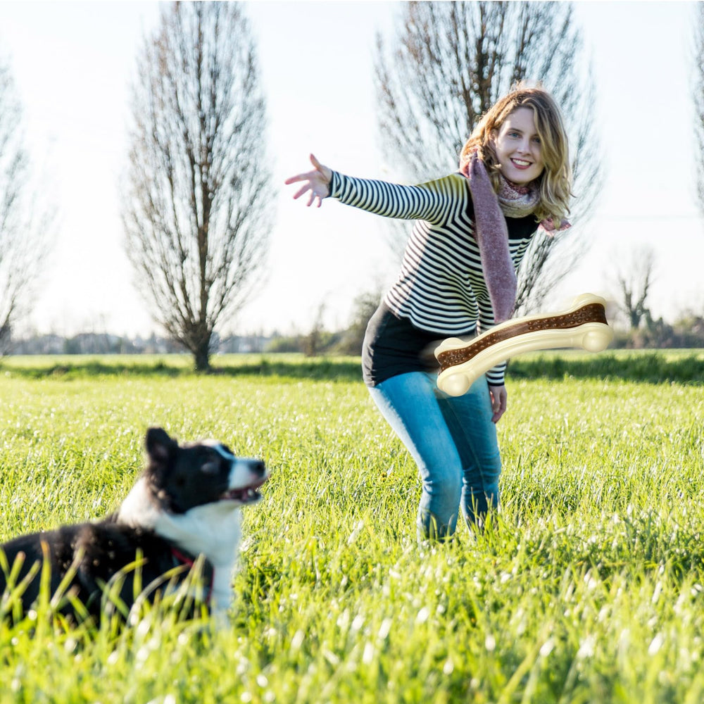 Sosation beef-flavored bone chew with pumpkin puree option attracts dogs.