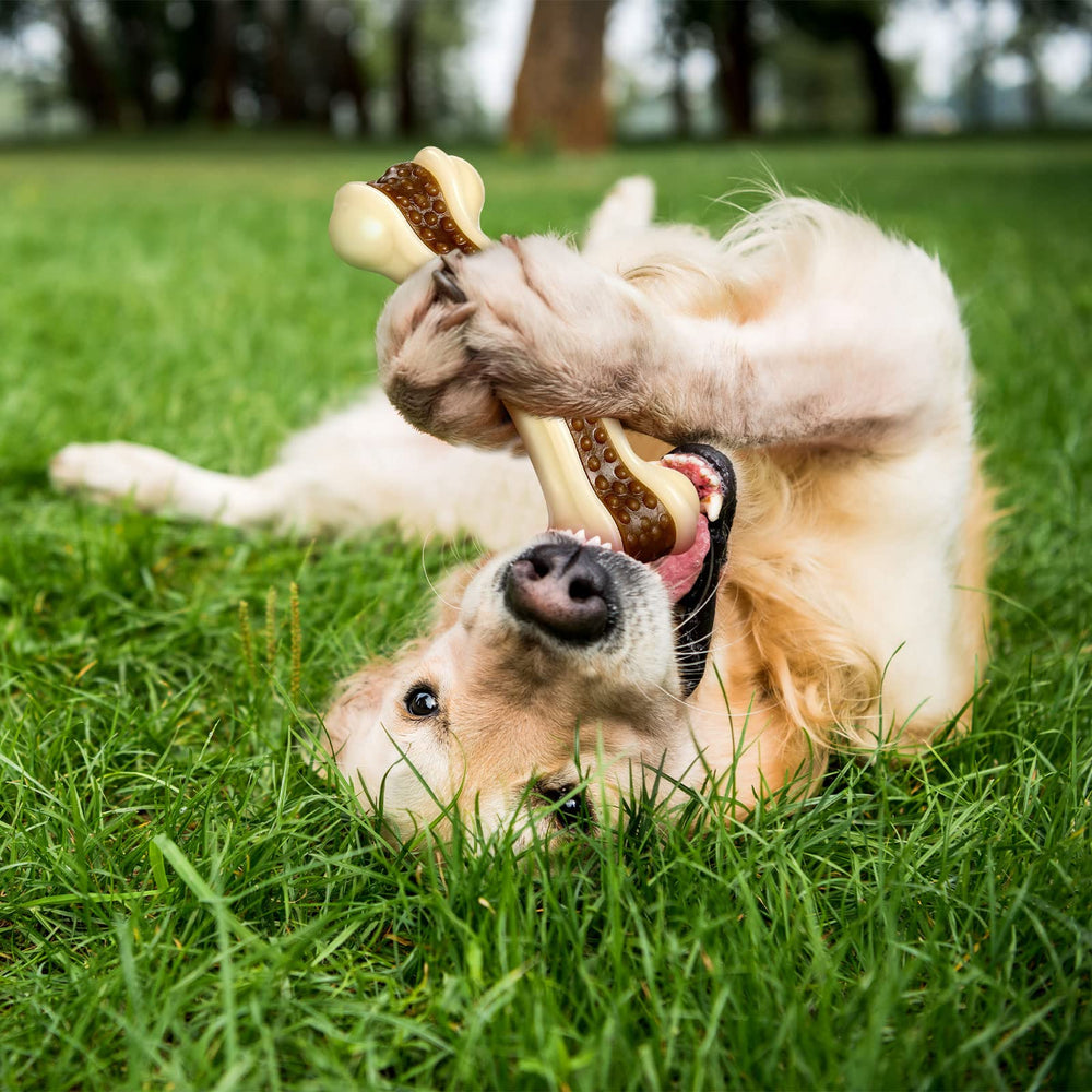 Sosation puppy-teething toy infused with beef flavor maintains interest.