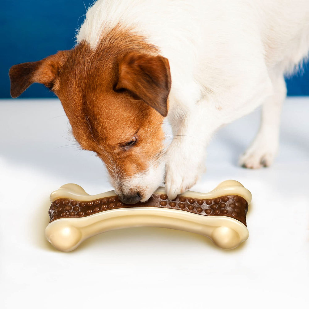 Sosation puppy teething bone image demonstrates a safe outlet for growing teeth and boredom relief.