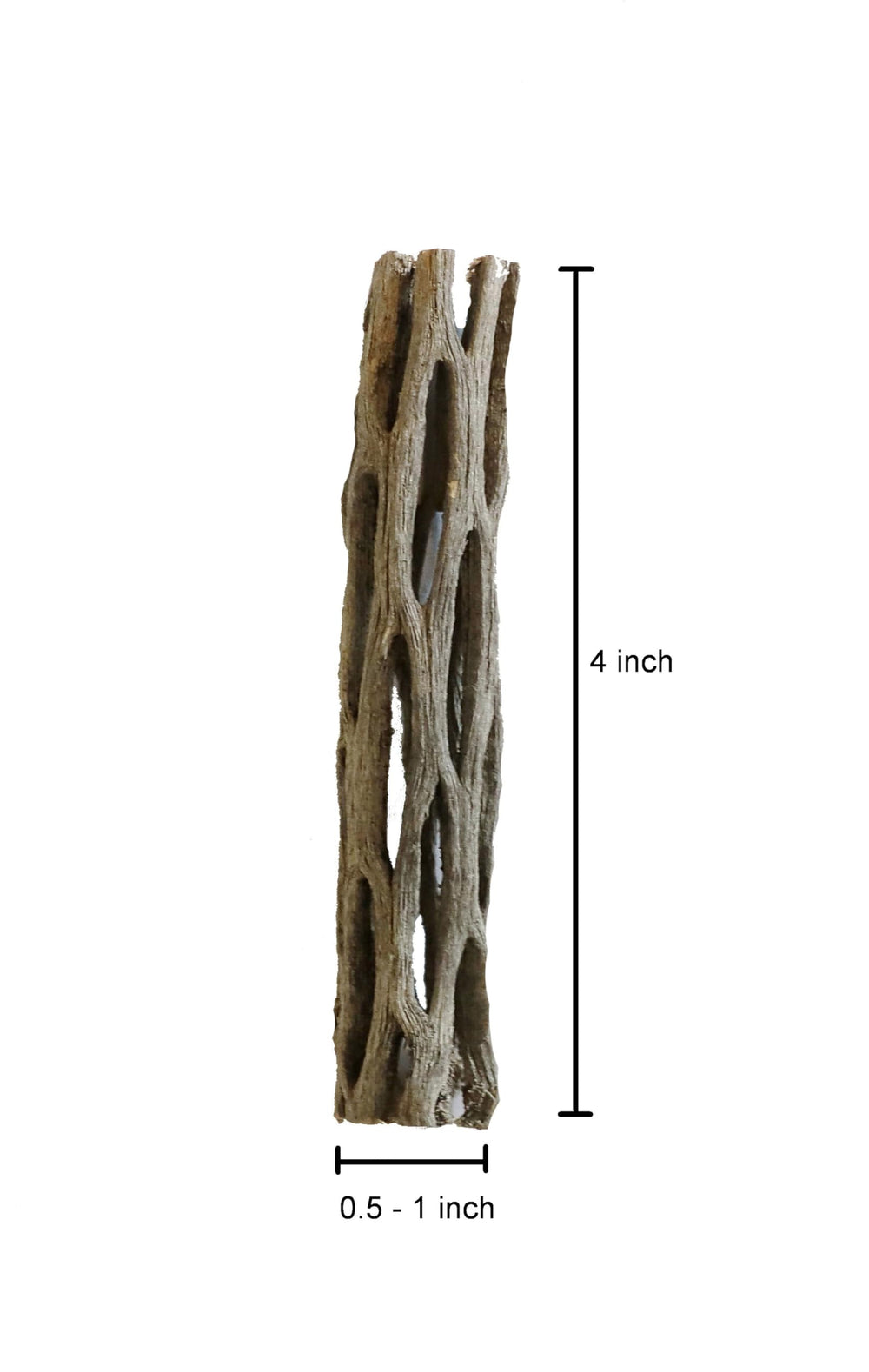 SoShrimp aquarium cholla wood scene with shrimp and fish demonstrates natural decor.