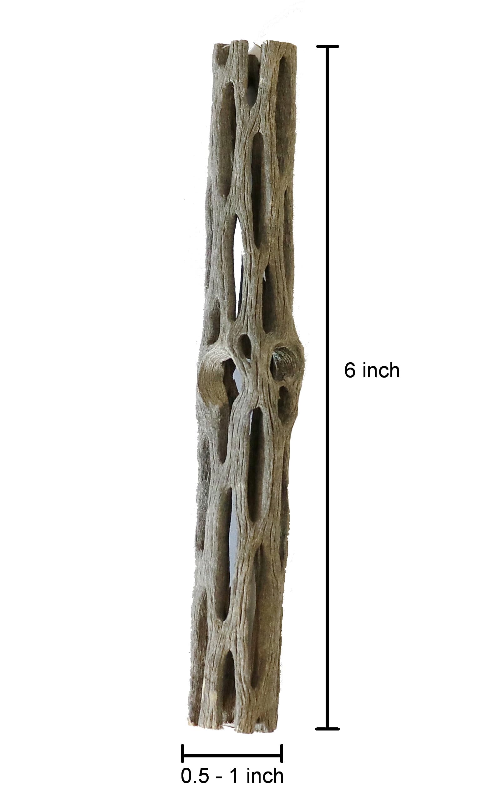SoShrimp cholla wood 6 inch pieces encourage natural foraging in shrimp and fish.