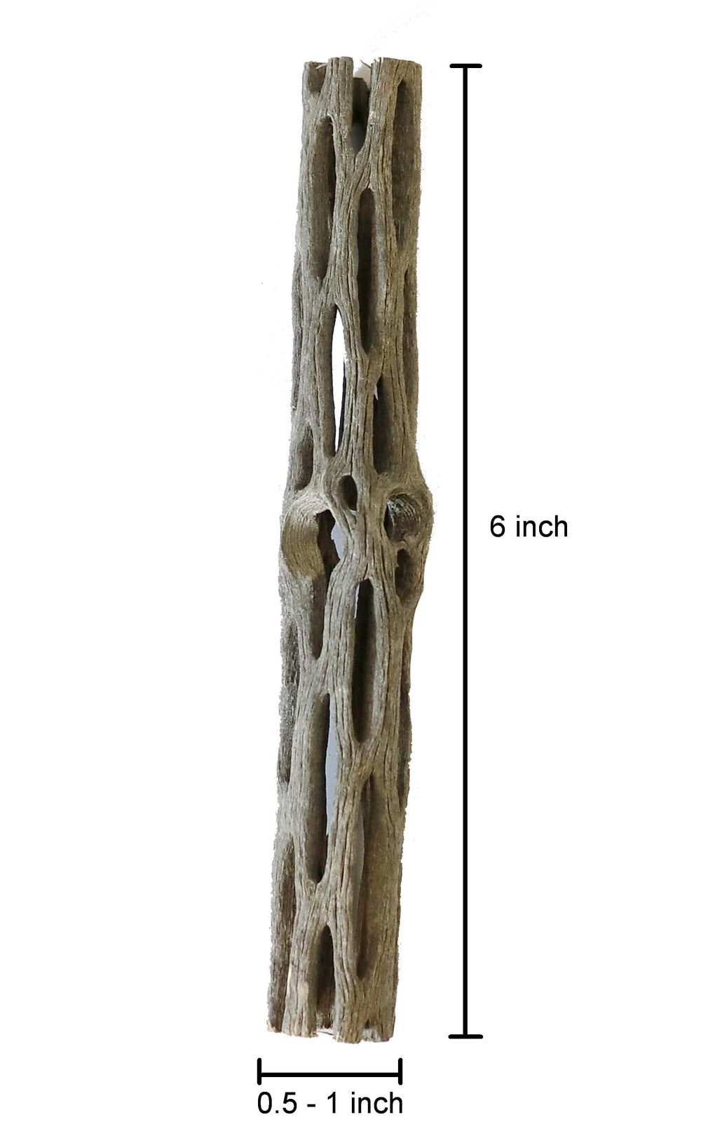 SoShrimp cholla wood 6 inch pieces encourage natural foraging in shrimp and fish.