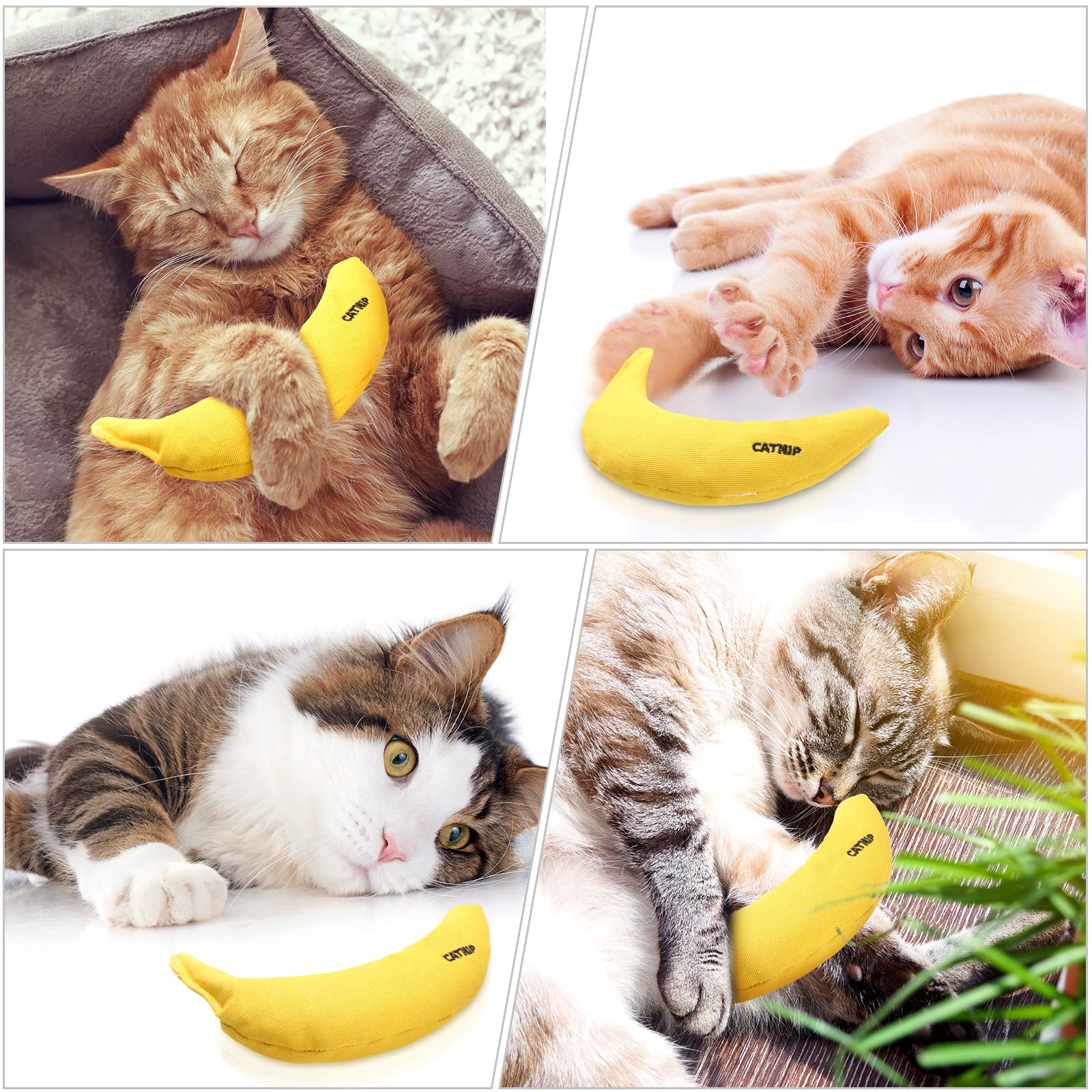 Sotiff bright color catnip toy supports curious exploration and mental stimulation.