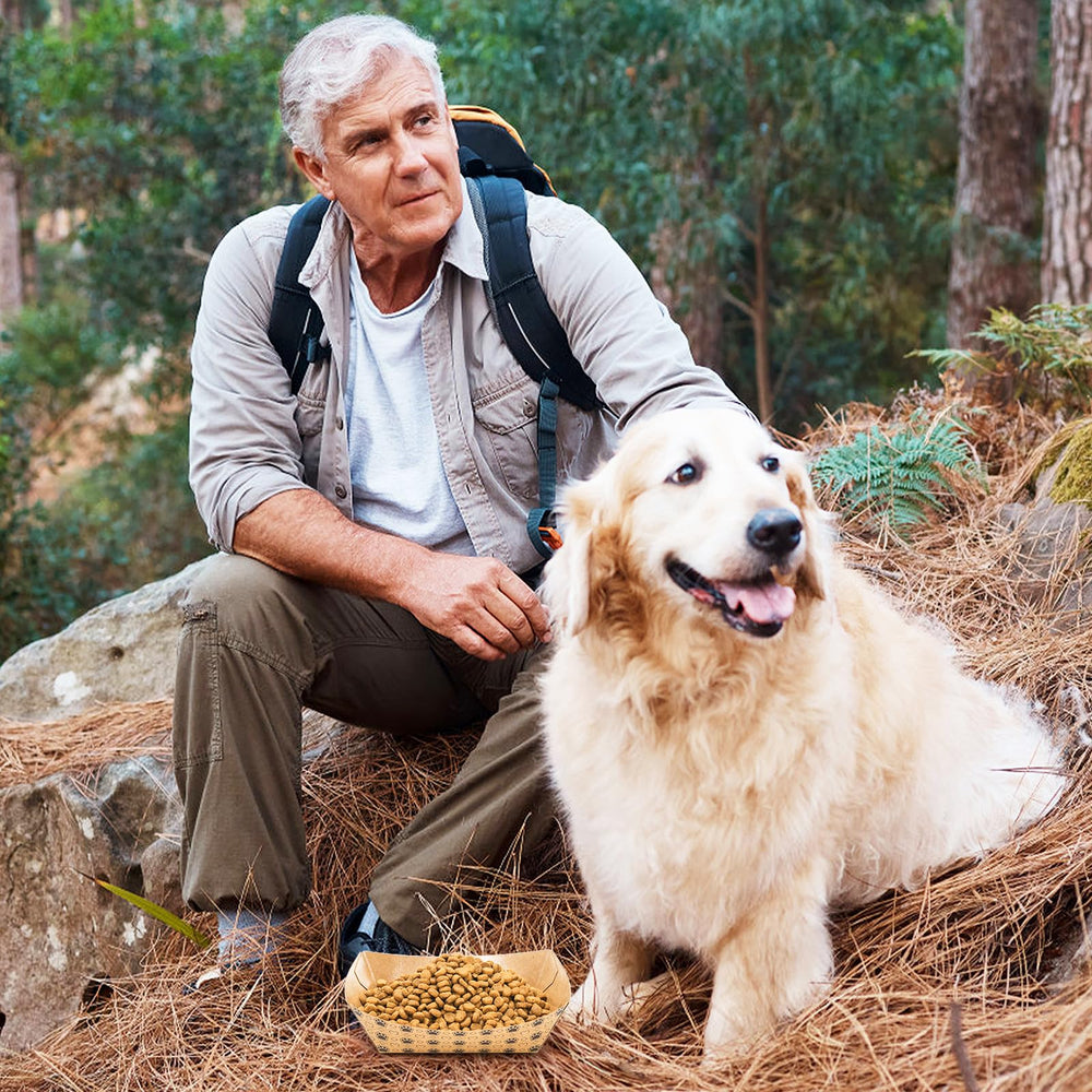 SOUJOY versatile bowls for dry and wet foods for small pets and cats.