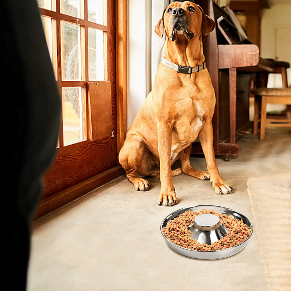 SOUJOY perfect for weaning puppies or kittens with multi-pet feeding setups.