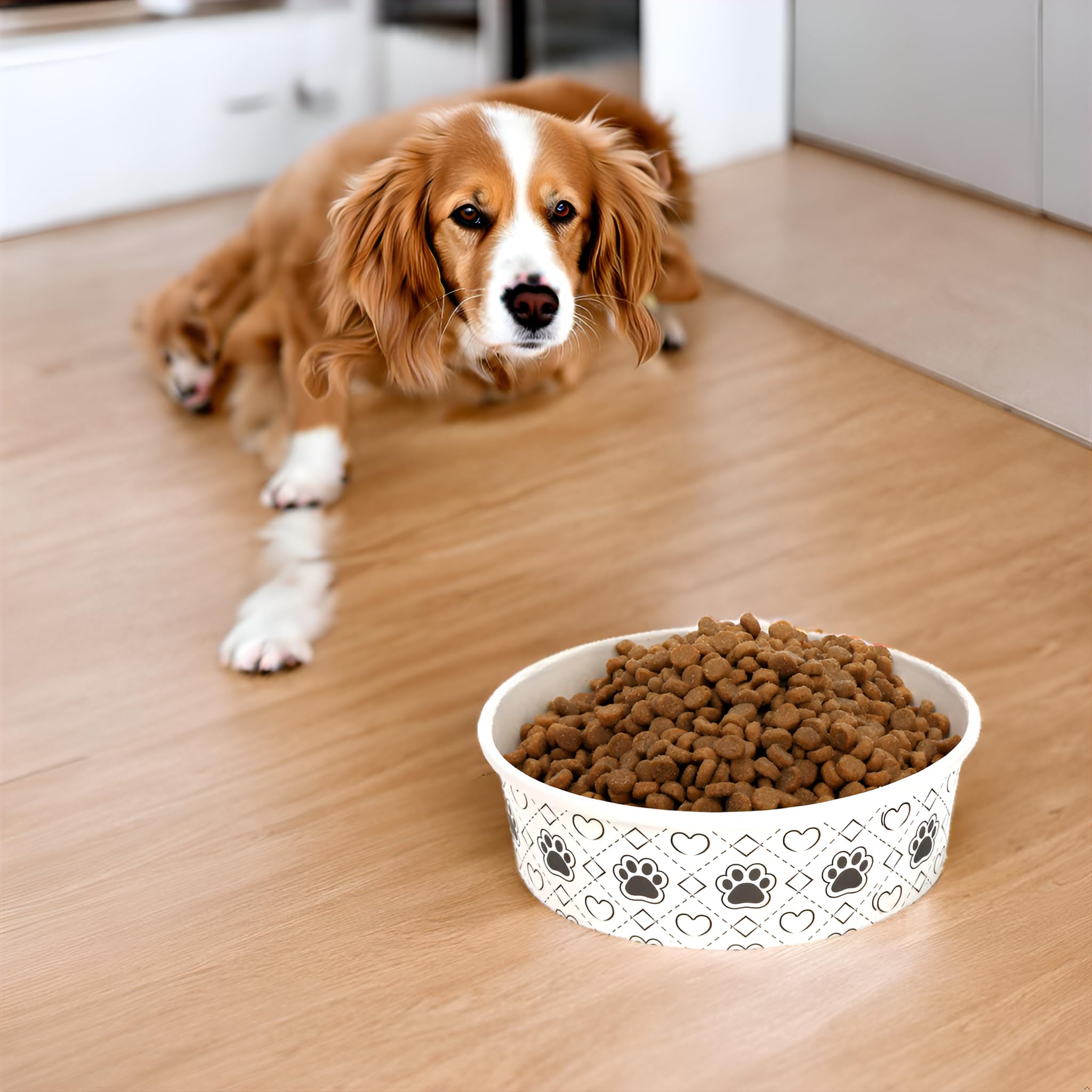 SOUJOY outdoor picnic bowls simplify camping meals for pets
