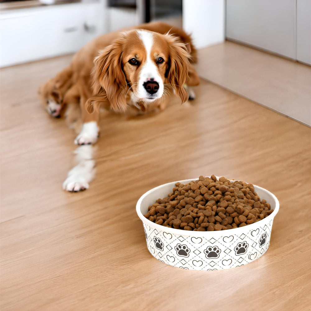 SOUJOY outdoor picnic bowls simplify camping meals for pets