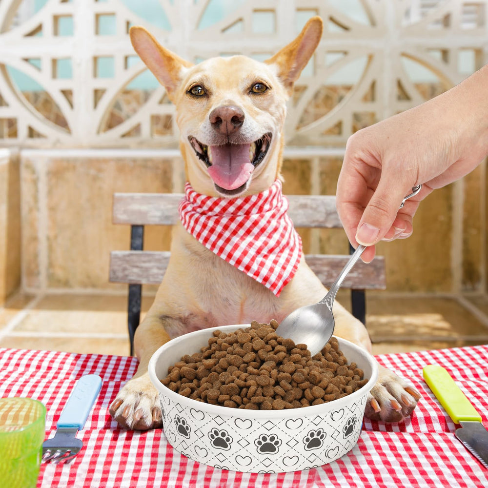 SOUJOY recyclable disposable pet bowl supports simple cleanup and eco-conscious choices