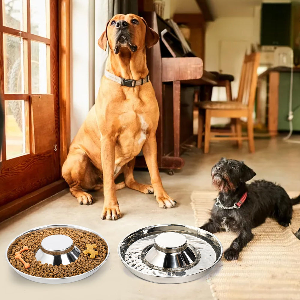 SOUJOY stainless steel bowl close-up suitable for daily pet meals