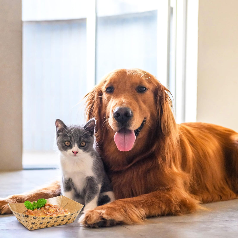 SOUJOY bowls filled with wet food ready for quick, hygienic single-use servings.