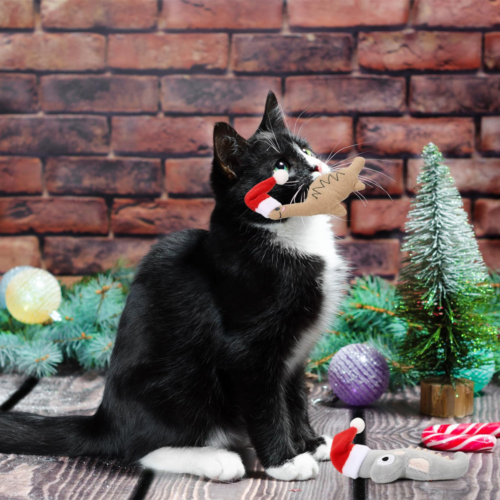 Soulchen Christmas dinosaur catnip toy crinkle sound feature for extra play stimulation.