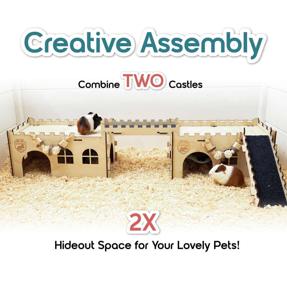 SoulThink product dimensions highlight compact, space-saving habitat for small pets