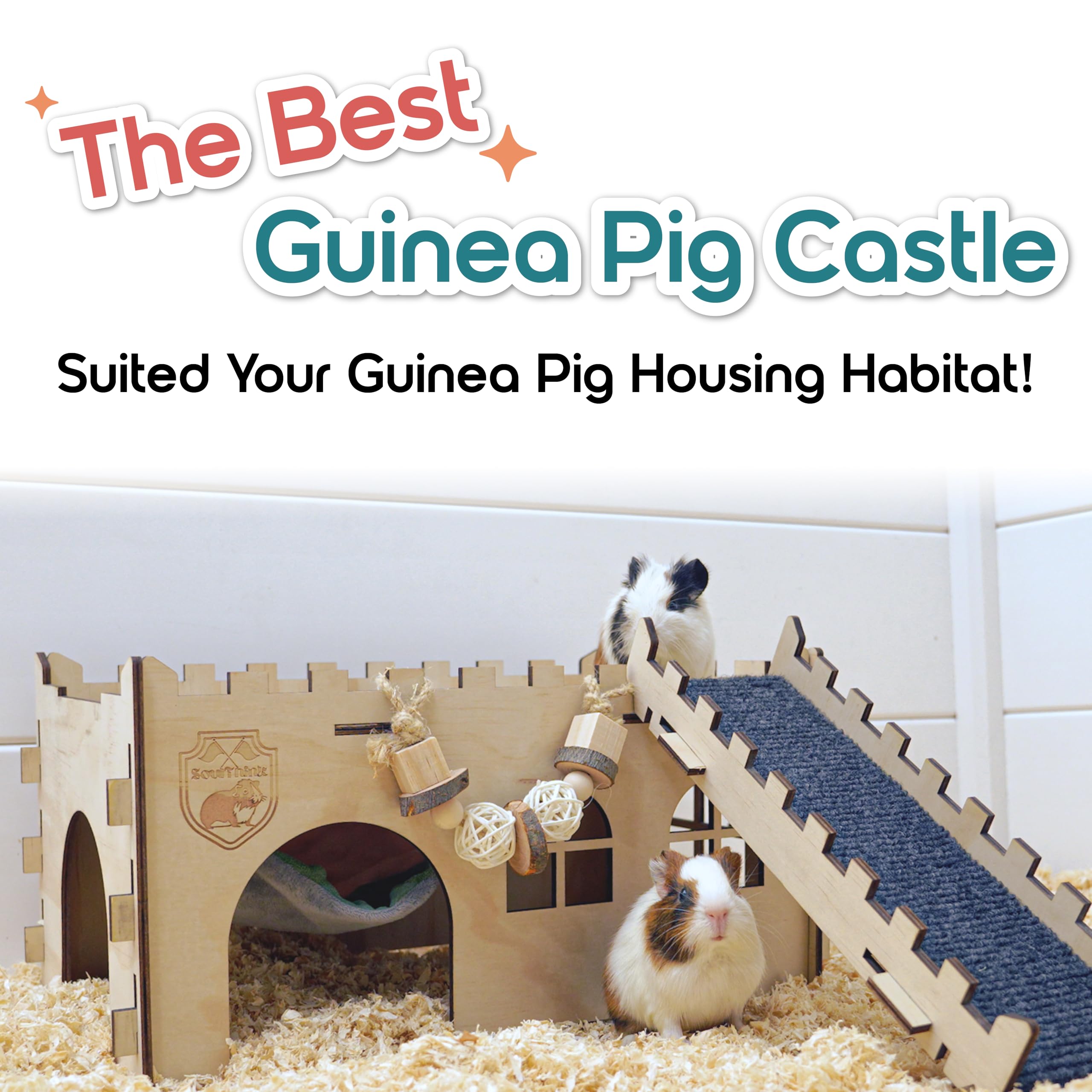 SoulThink guinea pigs relaxing on hammock encourages comfortable rest