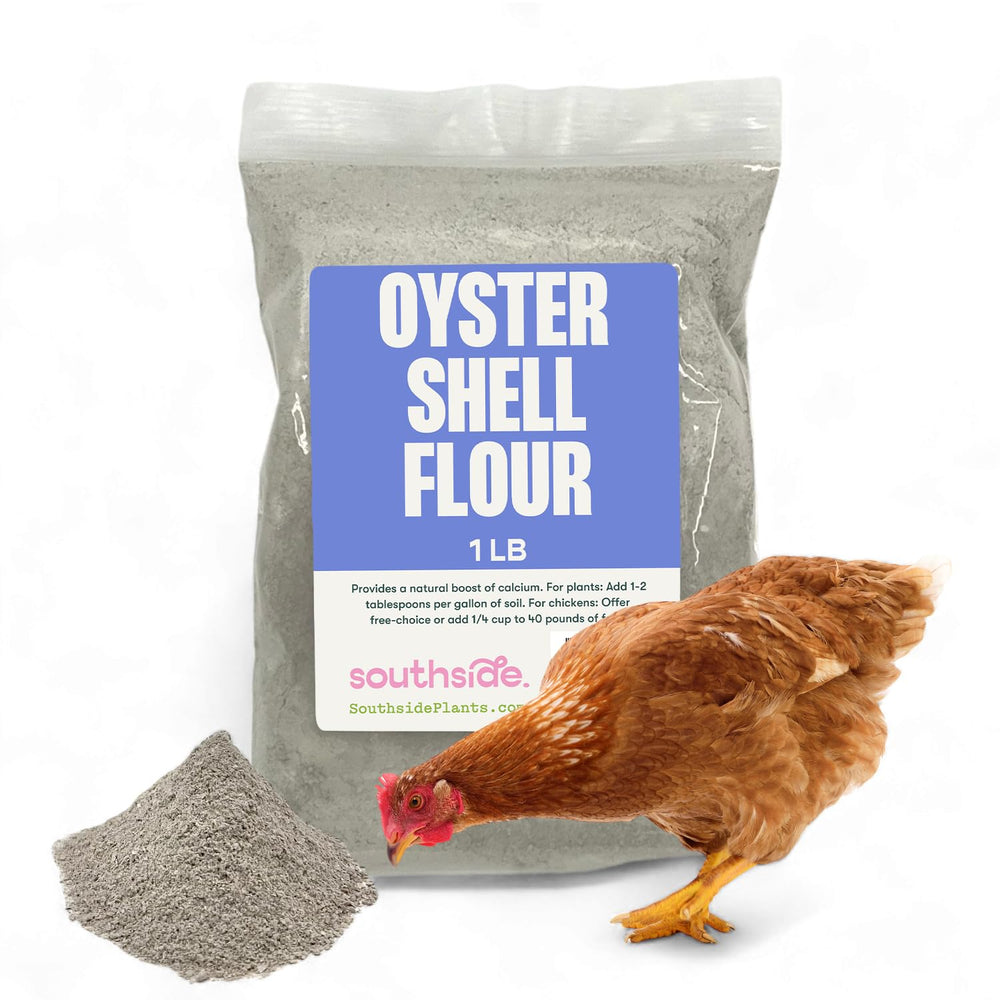 Southside Plants Oyster Shell Flour bottle shows a calcium-rich supplement for chickens