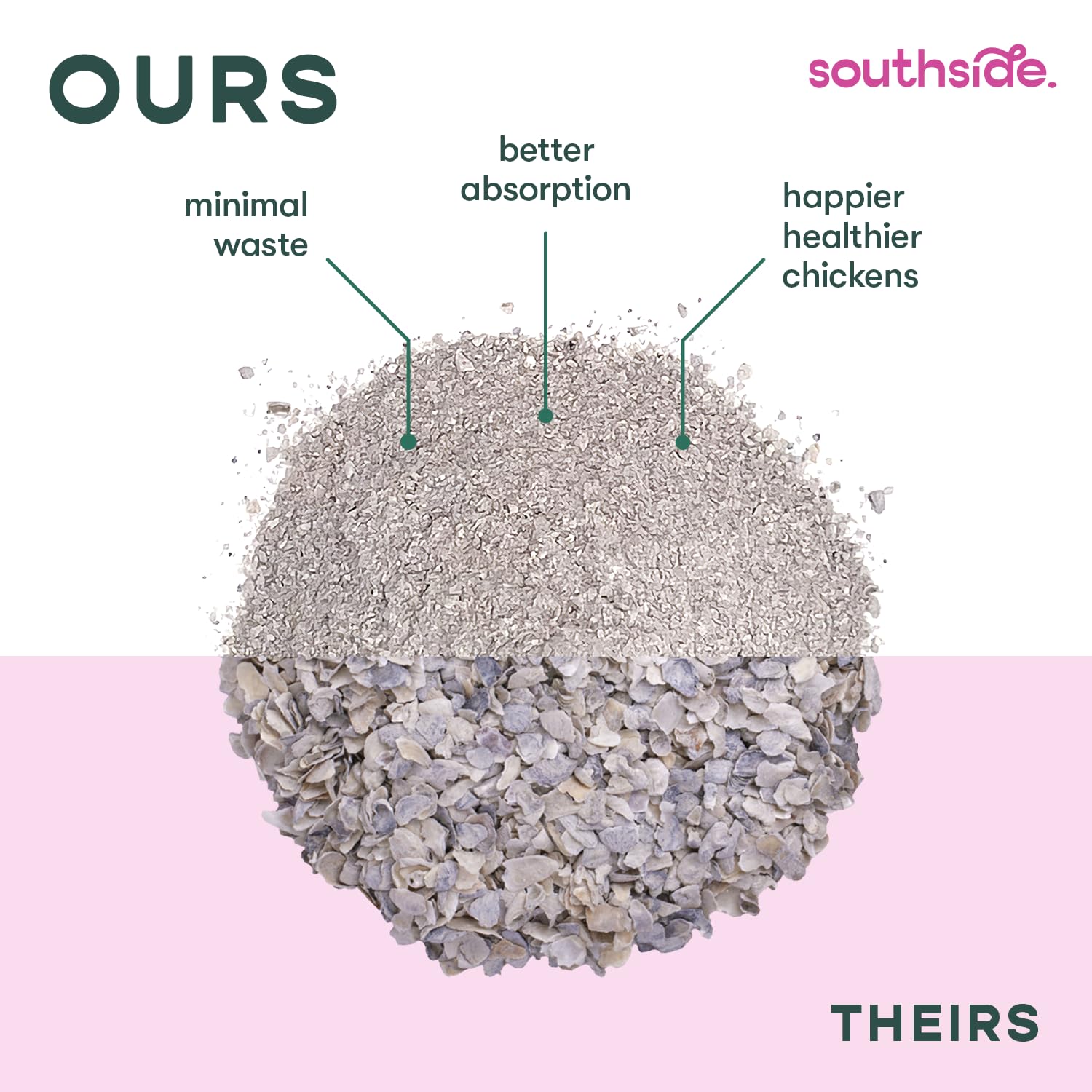 Southside Plants Oyster Shell Flour coating insects supports reptile nutrition before feeding