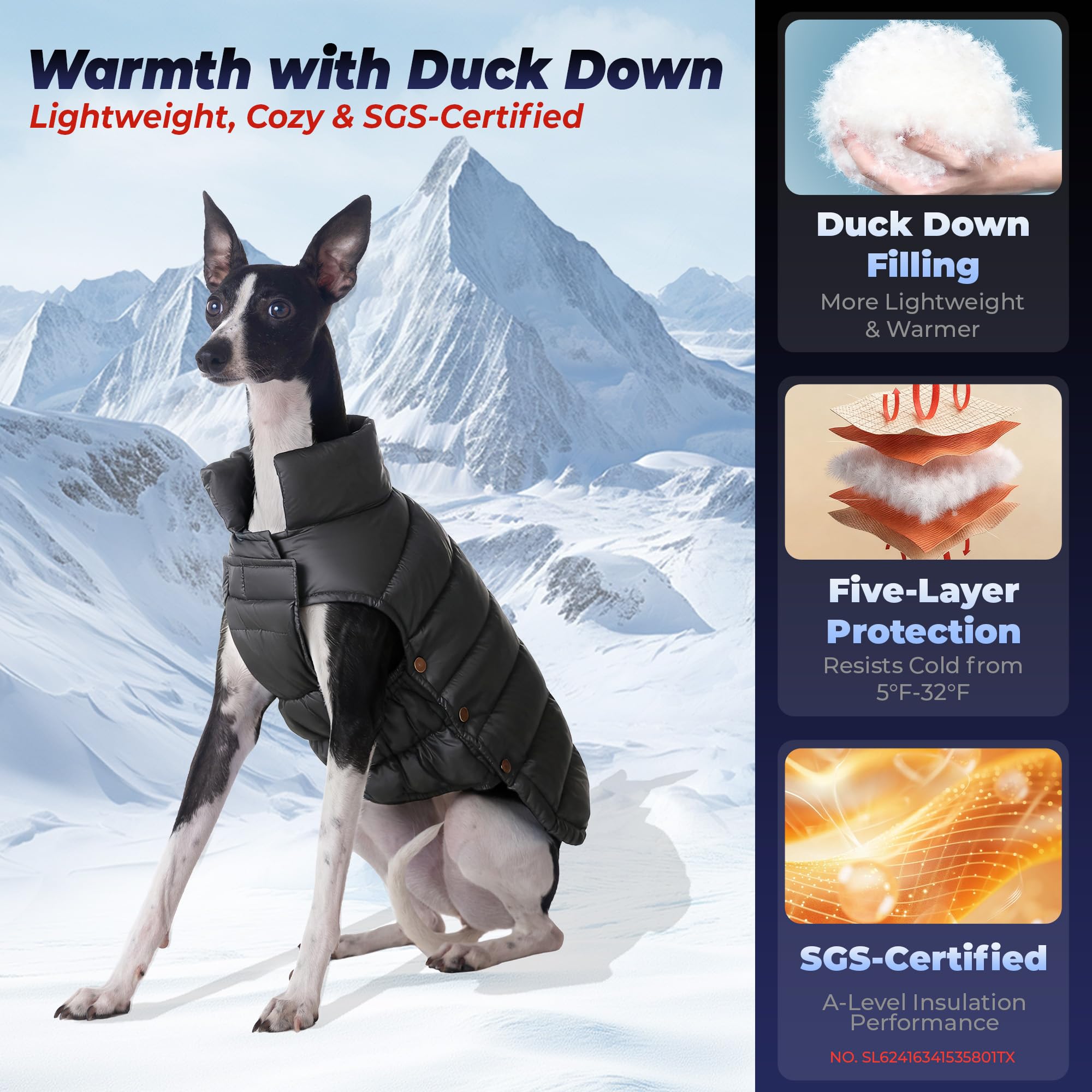 Space Lion dog puffer jacket back view highlights full coverage for wind protection.