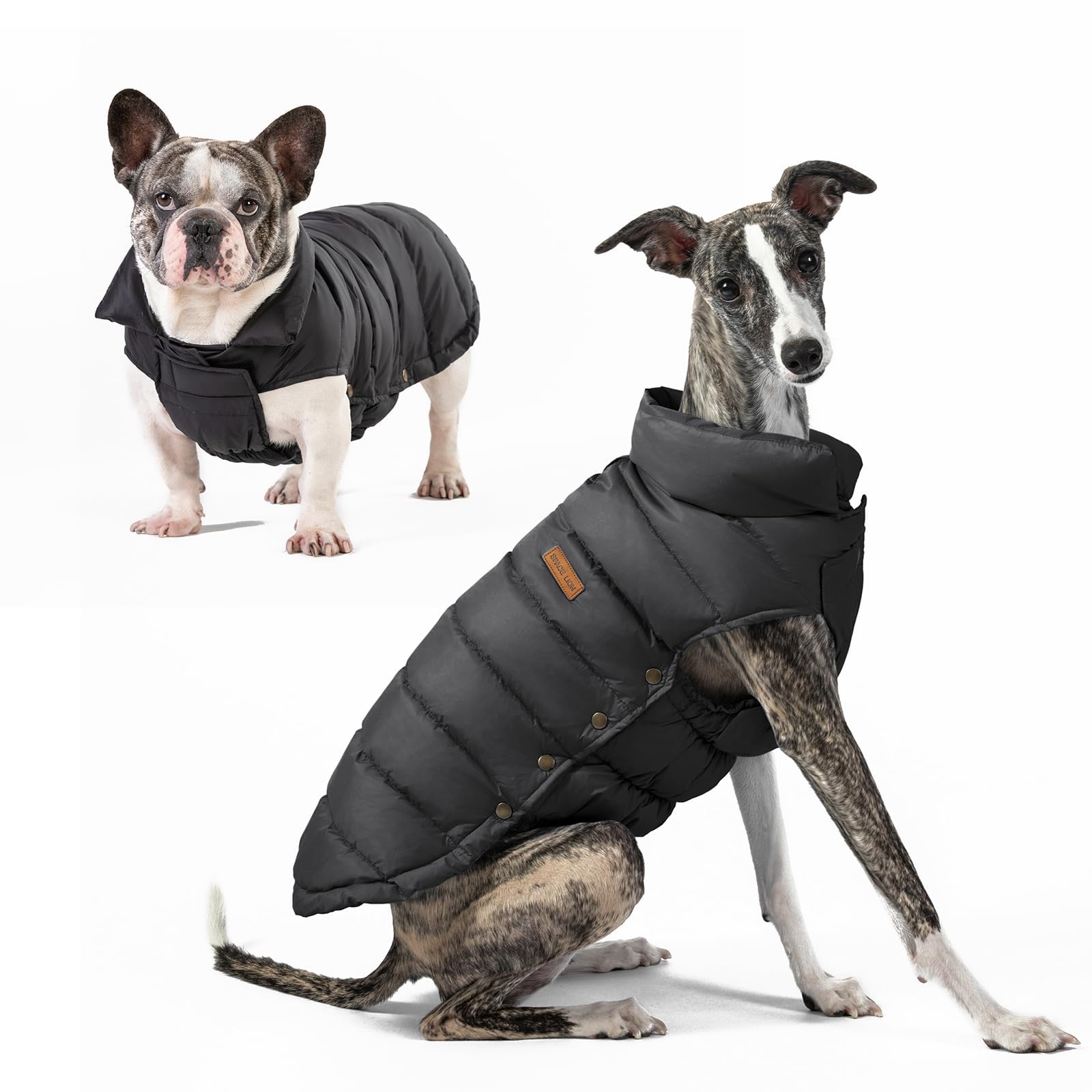 SPACE LION dog puffer jacket back view in black for cold walks.