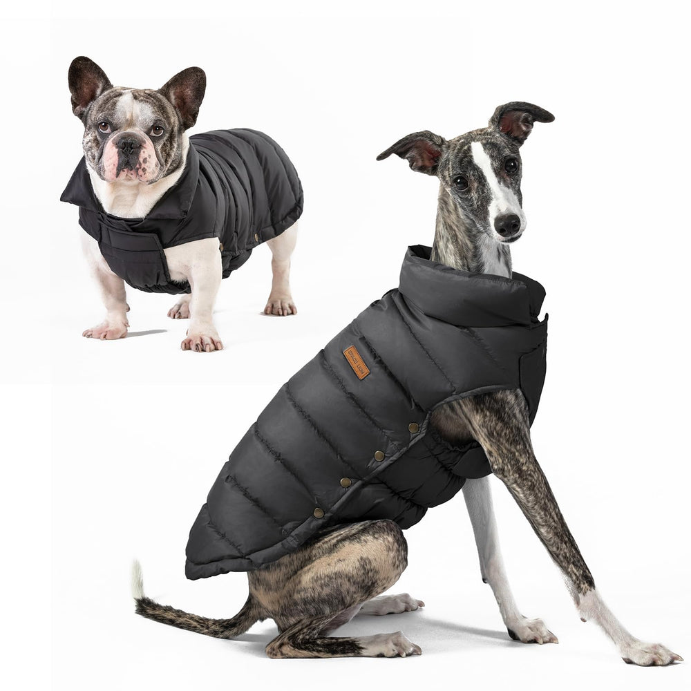 SPACE LION dog puffer jacket back view in black for cold walks.