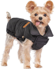 Space Lion dog puffer jacket front view highlights lightweight warmth for chilly outdoor walks.