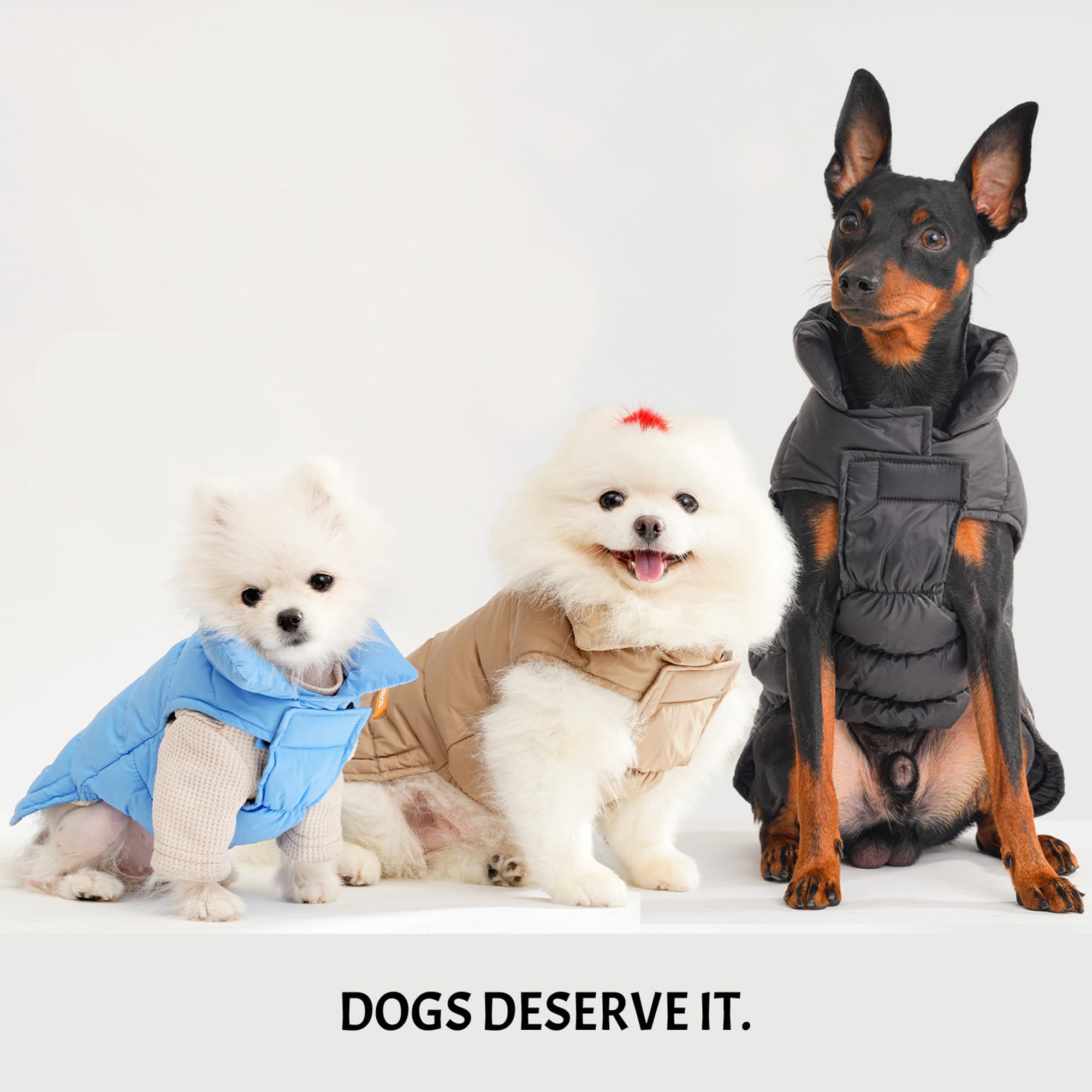 Space Lion dog puffer jacket back leash hole enables harness use on walks.