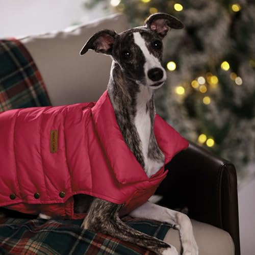 SPACE LION dog puffer jacket lightweight packability makes travel easier.