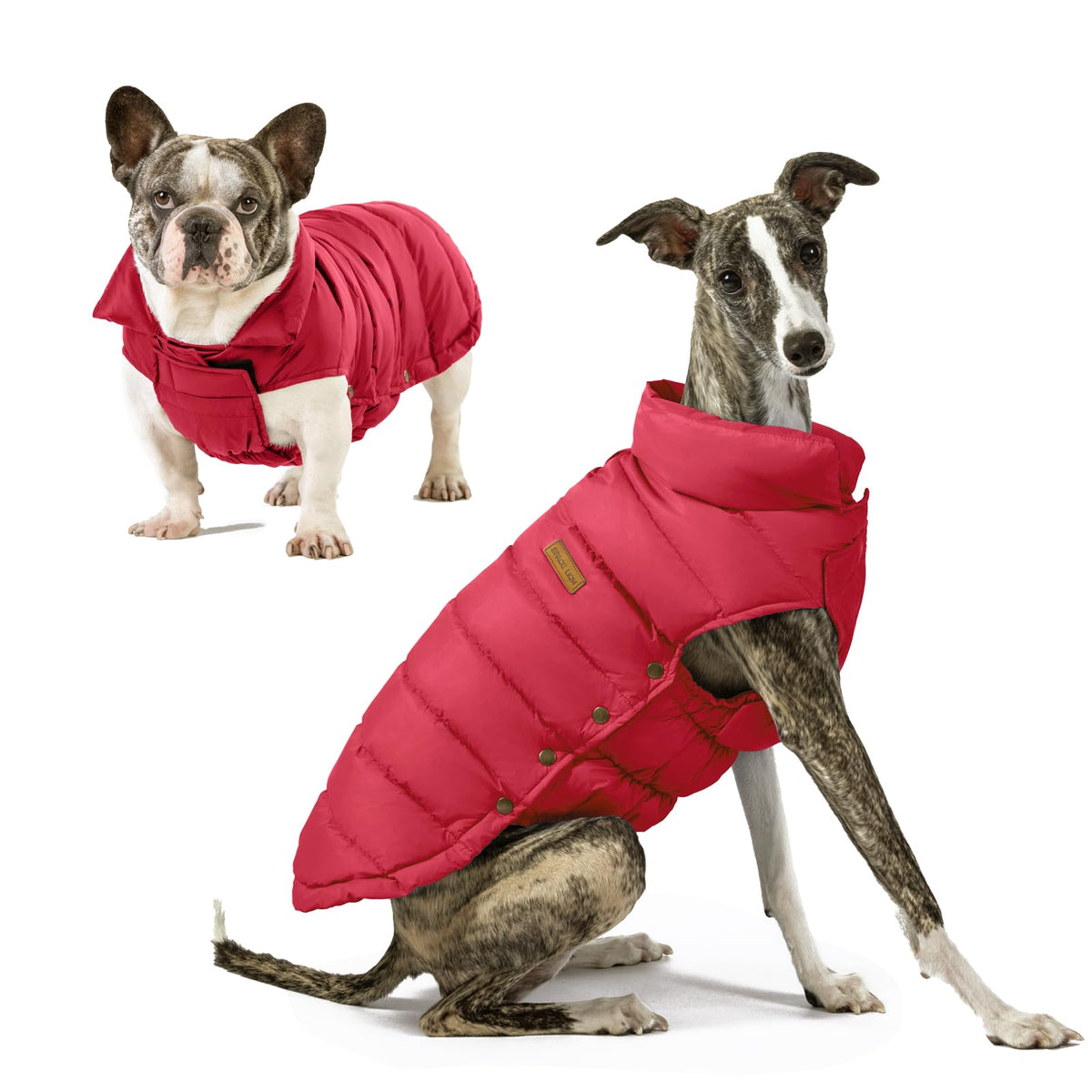 SPACE LION dog puffer jacket red front view shows cozy warmth without bulk for chilly walks.