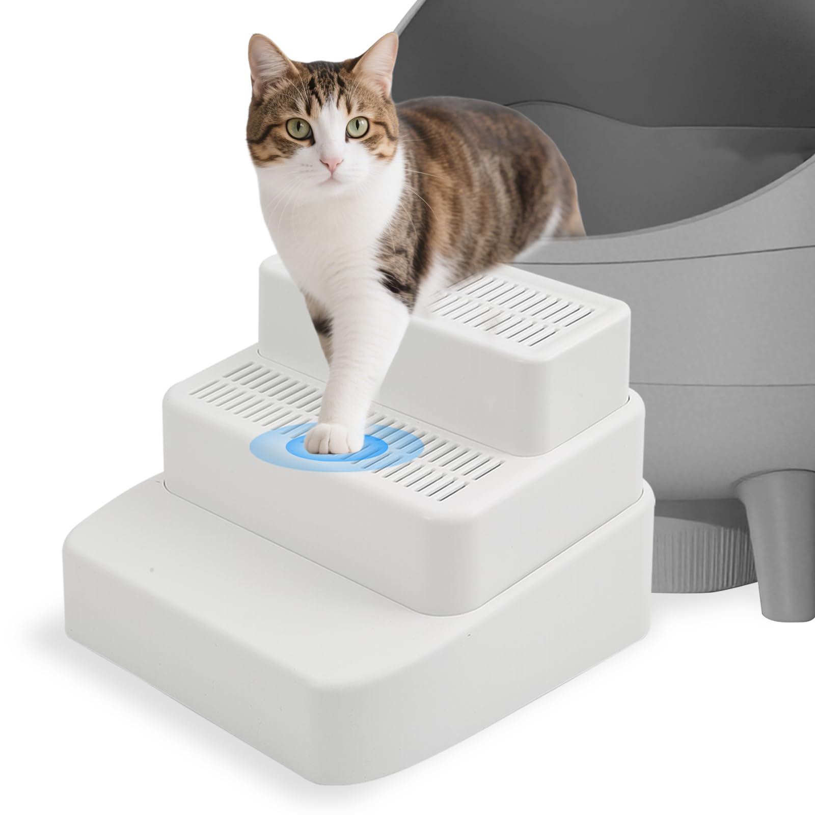 SpaceTime elevated cat ramp eases access for kittens and seniors.