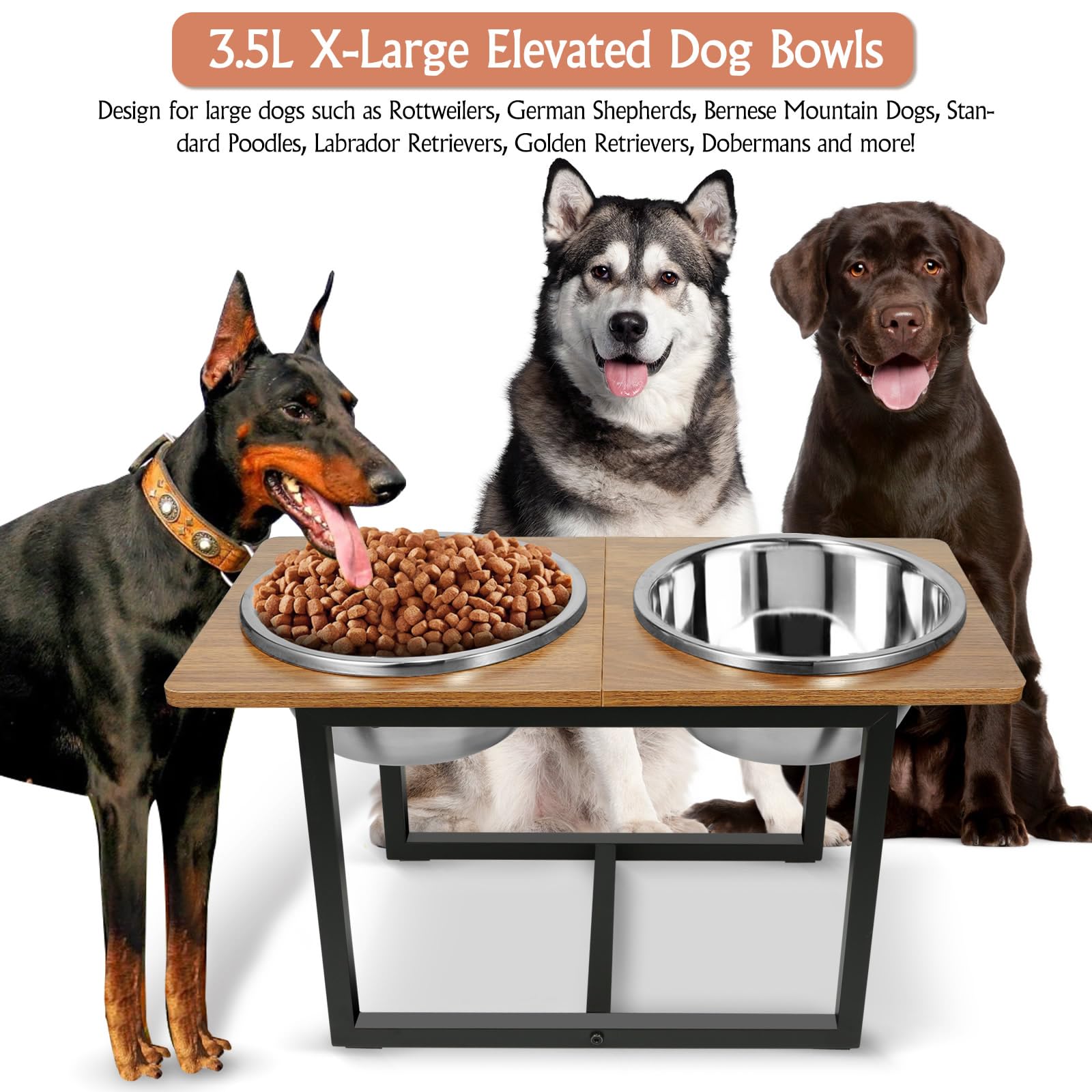 Spacnom elevated dog bowls stainless bowls highlight easy cleaning and durable food-grade materials.