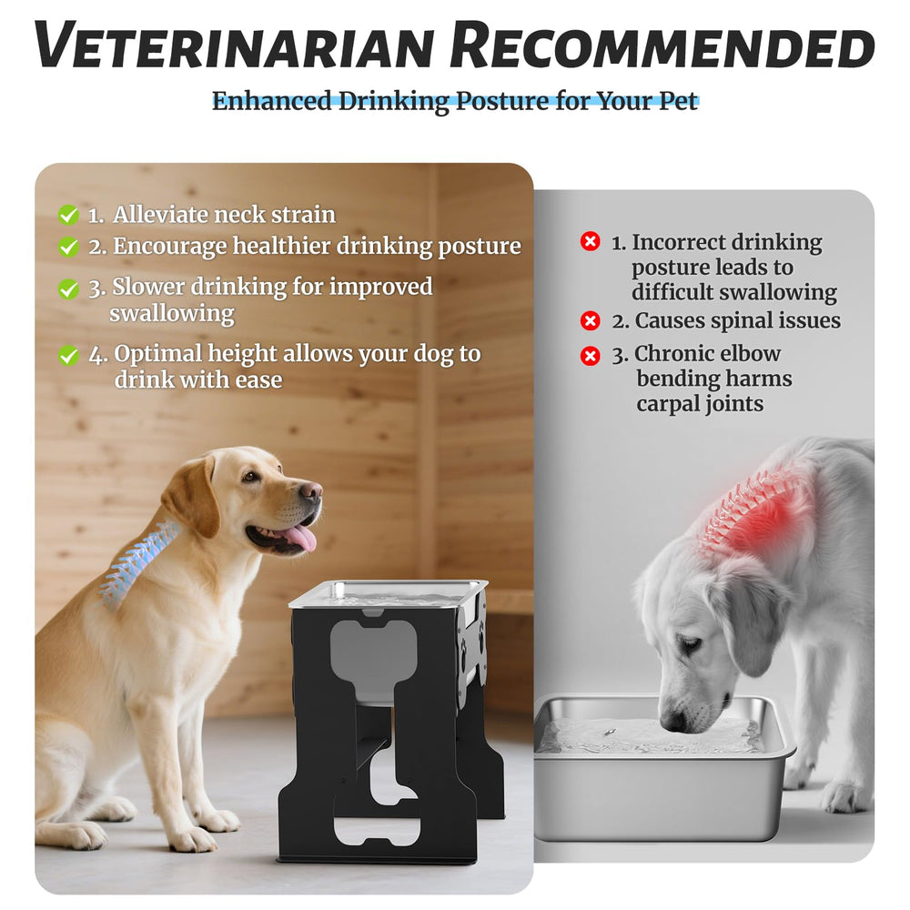 Spacnom large-capacity water bowl for multiple dogs supports all-day hydration.