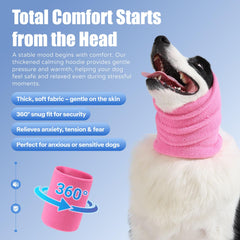 Spajoy calming band on a cat’s ears during grooming for comfort.