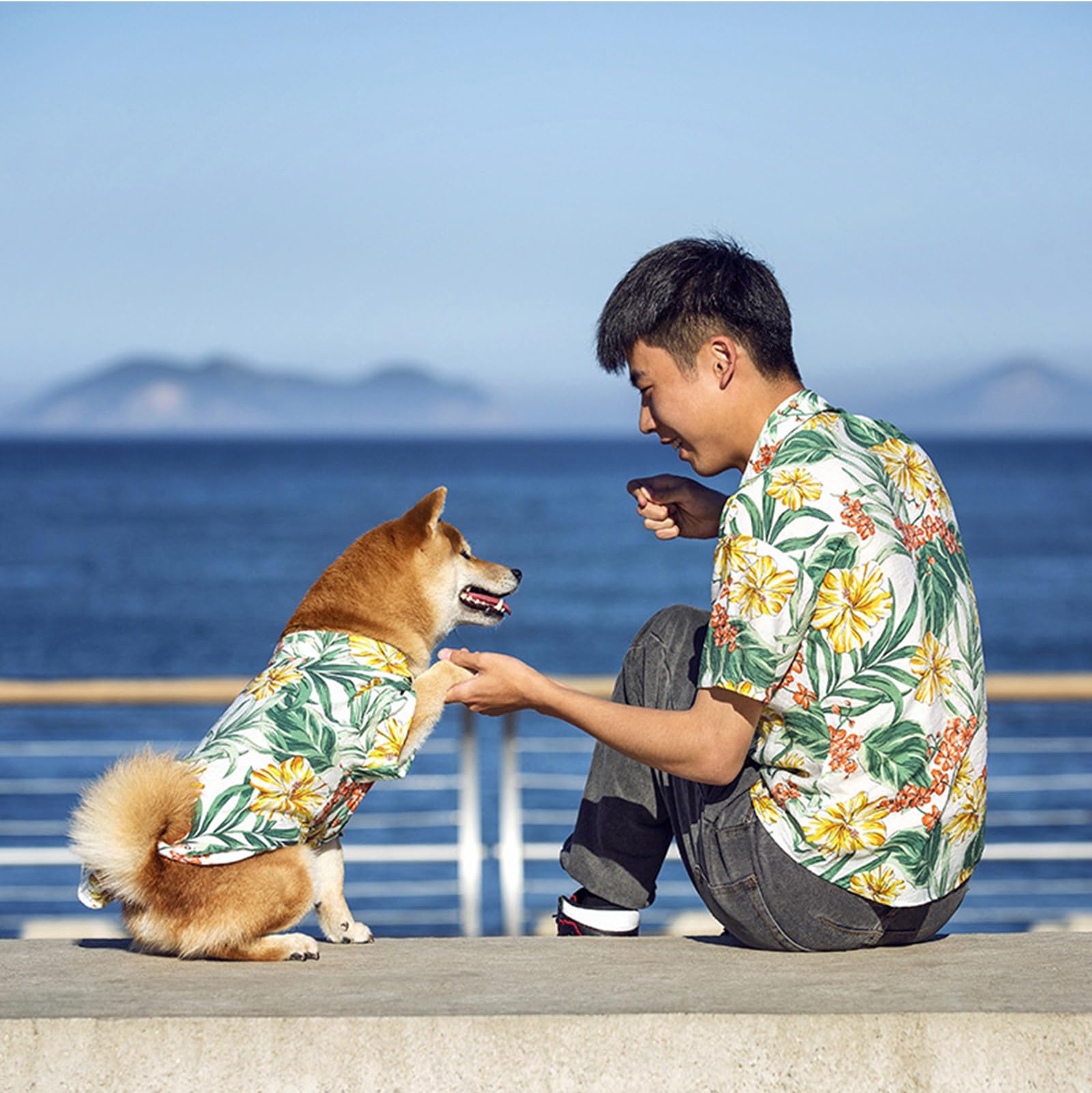 Spajoy Hawaii dog-shirt on a dog walking at the beach for warm-weather outings