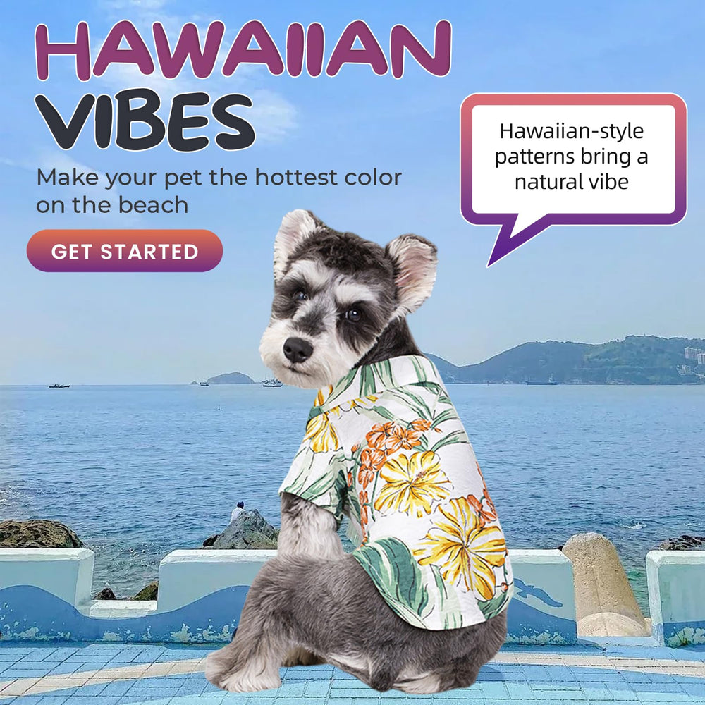 Spajoy Hawaii dog shirt on cat showing versatile fit for felines.