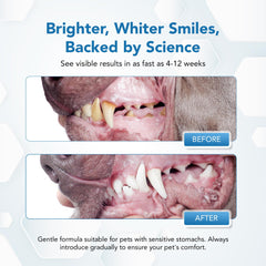 Spanielbuns dental powder ingredients kelp and probiotics for plaque control.