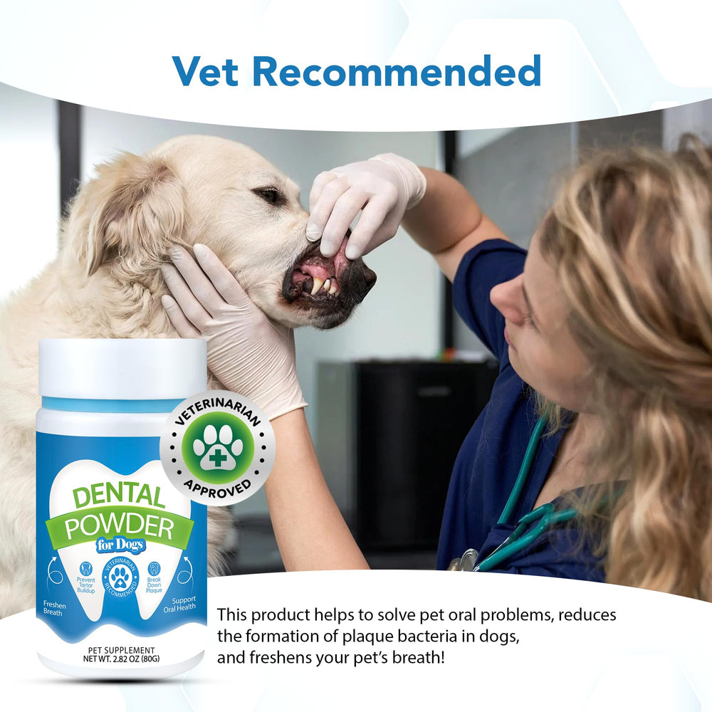 Spanielbuns dental powder probiotic-enzyme concept for gentle cleansing.
