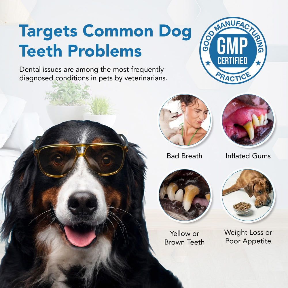 Spanielbuns dental powder tartar reminder visual suggests ongoing care.