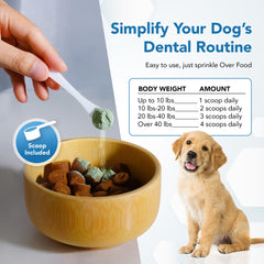 Spanielbuns dental powder tub closeup showing convenient dosing.