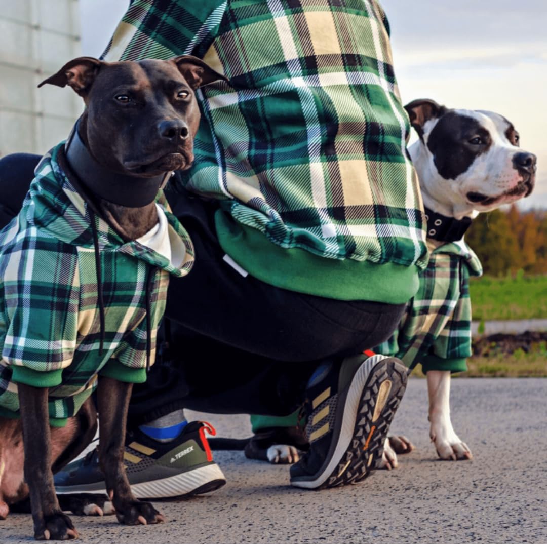 Spark Paws broad-chest fit hoodie suited for French bulldogs and pit bulls.