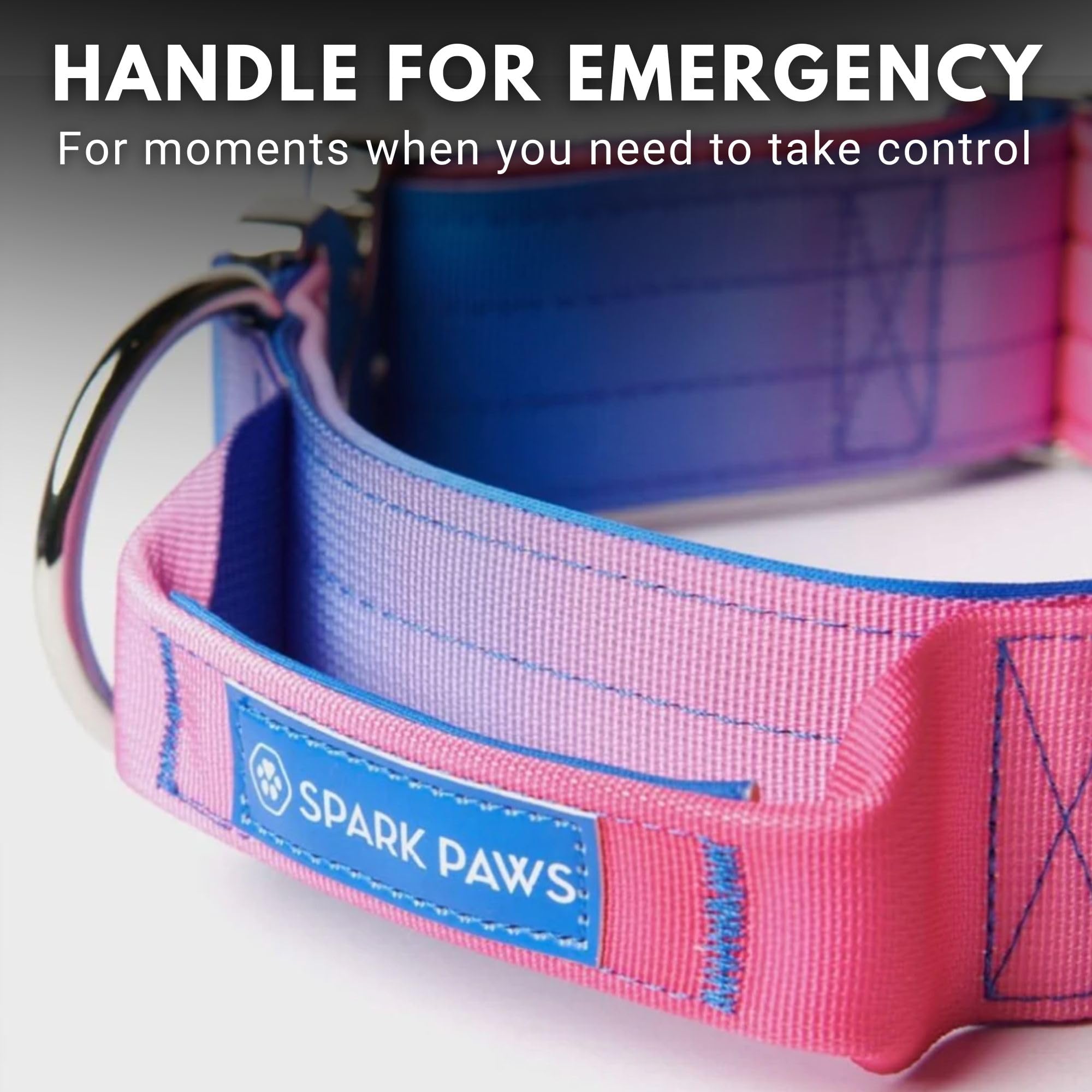 Spark Paws collar interior shows soft neoprene padding for gentle skin contact.