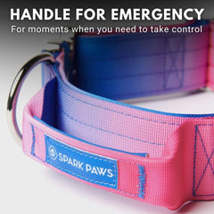 Spark Paws collar interior shows soft neoprene padding for gentle skin contact.