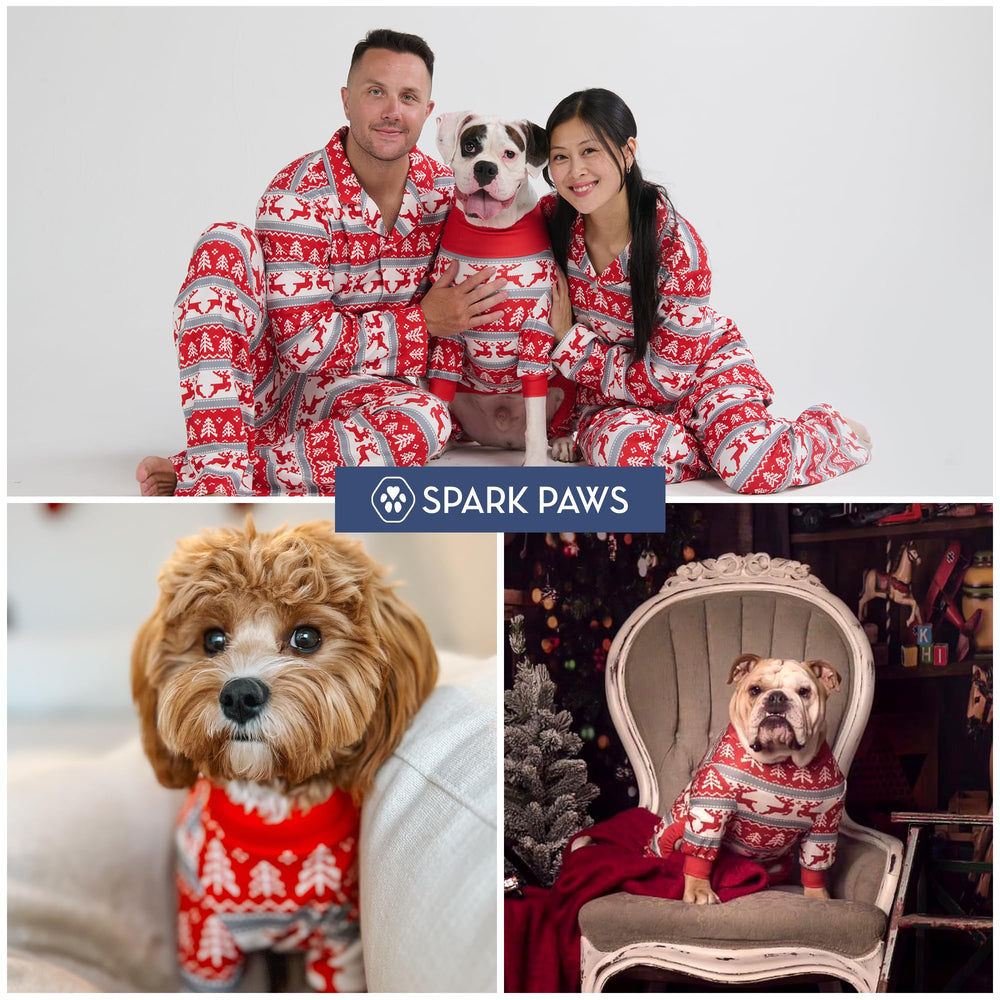 Spark Paws dog Christmas pajama winter-scene highlights festive theme and comfort