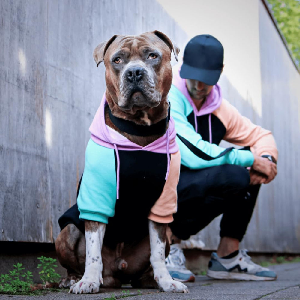 Spark Paws dog hoodie broad-chest design fits bulldog breeds comfortably.