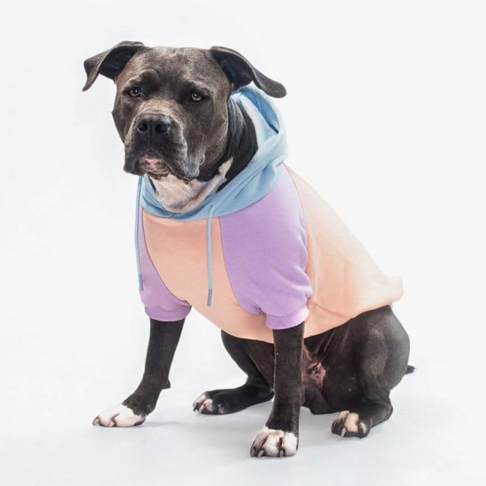 Spark Paws dog hoodie in butter-stretch fabric for flexible comfort across breeds.