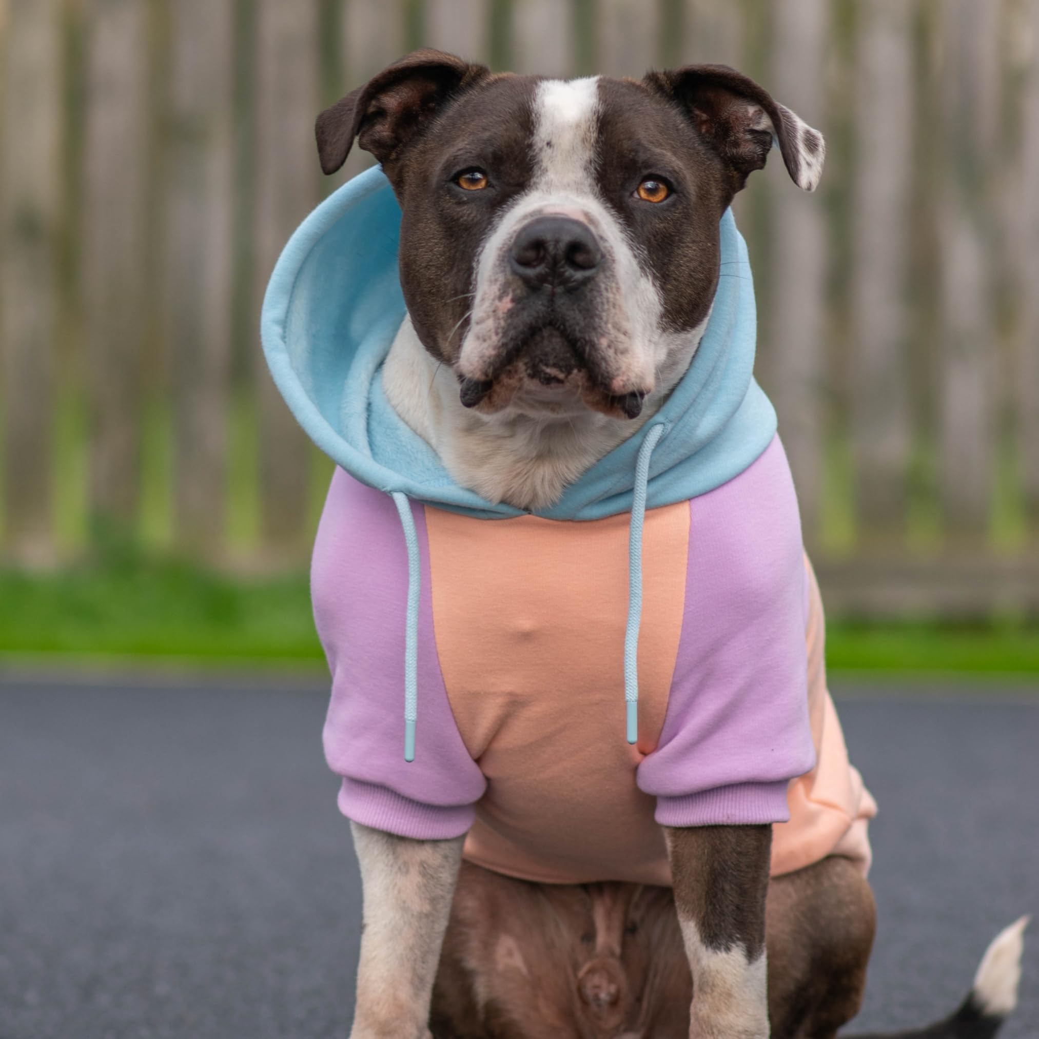 Spark Paws Dog Hoodie calming fleece interior keeps pets cozy without bulk.