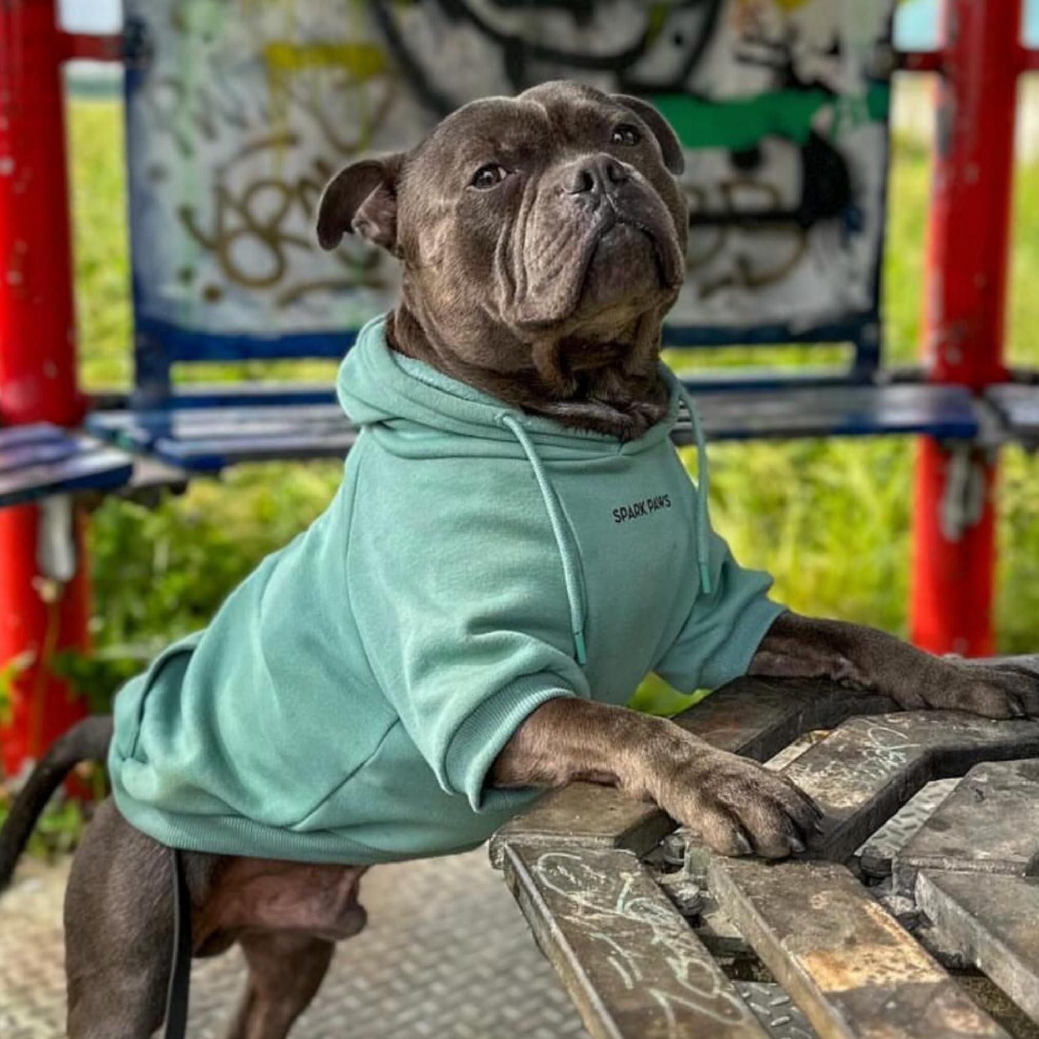 Spark Paws hoodie interior with calming fleece for gentle warmth