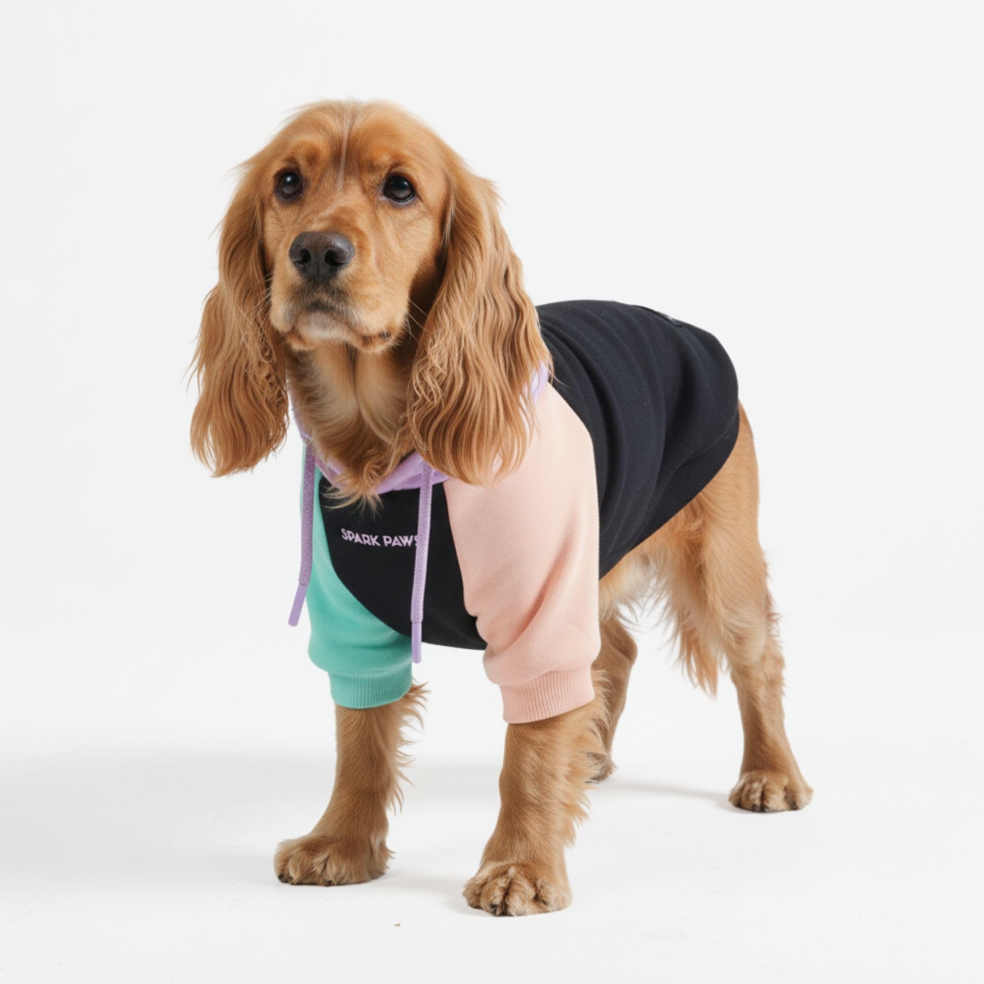 Spark Paws dog hoodie front view highlights butter-stretch fabric for a comfortable, flexible fit.