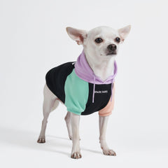 Spark Paws Dog Hoodie front view shows cozy warmth for chilly walks.